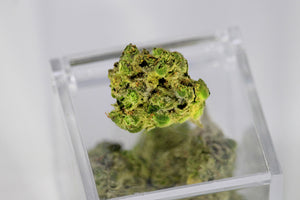 Cannabis Has Always Been A Medicine